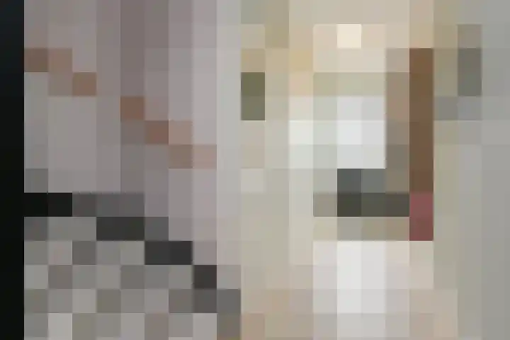 Brink van Pinkeltje 9 Pijnacker thumbnail 22