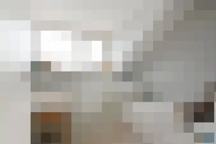 Brink van Pinkeltje 9 Pijnacker thumbnail 36