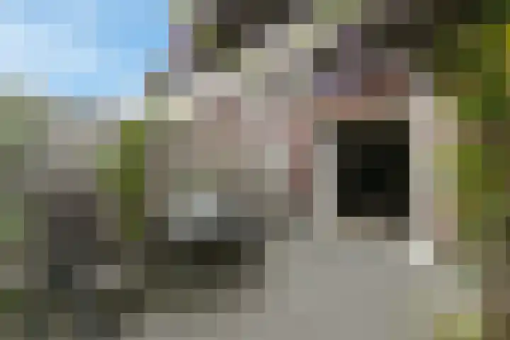 Brink van Pinkeltje 9 Pijnacker thumbnail 8