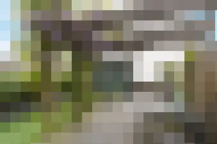 Brink van Pinkeltje 9 Pijnacker thumbnail 9