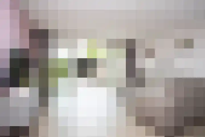 Brink van Swiebertje 4 Pijnacker thumbnail 10
