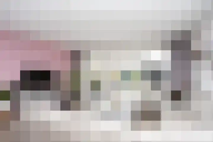 Brink van Swiebertje 4 Pijnacker thumbnail 11