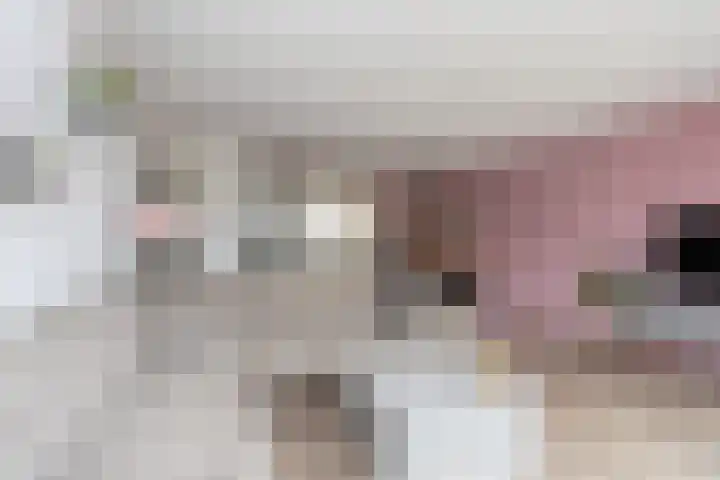 Brink van Swiebertje 4 Pijnacker thumbnail 13