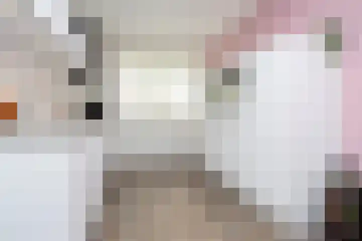 Brink van Swiebertje 4 Pijnacker thumbnail 19