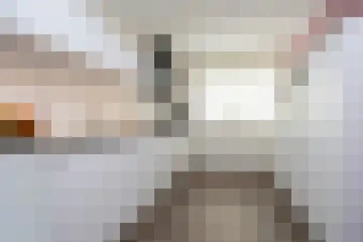 Brink van Swiebertje 4 Pijnacker thumbnail 20