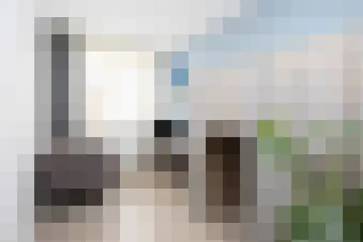 Brink van Swiebertje 4 Pijnacker thumbnail 26