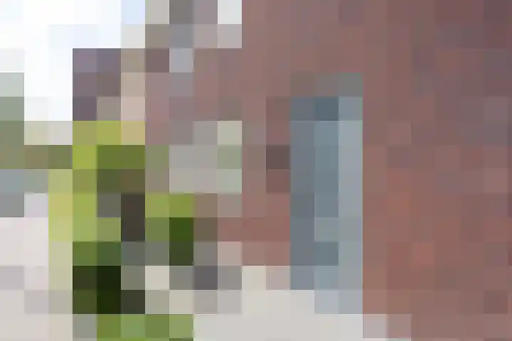 Brink van Swiebertje 4 Pijnacker foto 3