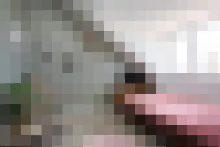 Brink van Swiebertje 4 Pijnacker thumbnail 33