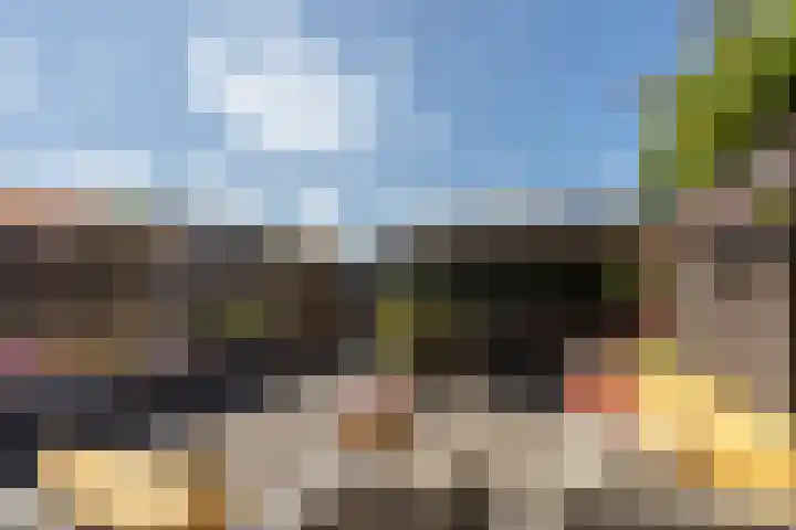 Brink van Swiebertje 4 Pijnacker thumbnail 40