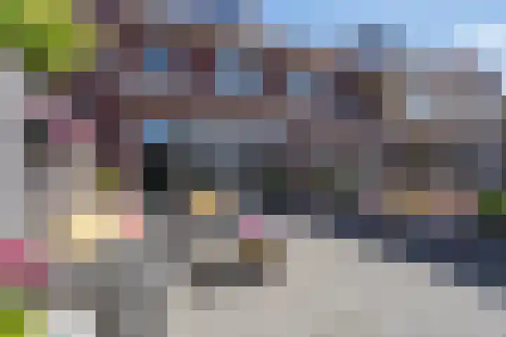 Brink van Swiebertje 4 Pijnacker thumbnail 41