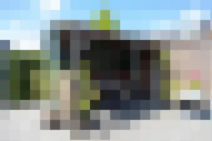 Brink van Swiebertje 4 Pijnacker thumbnail 43