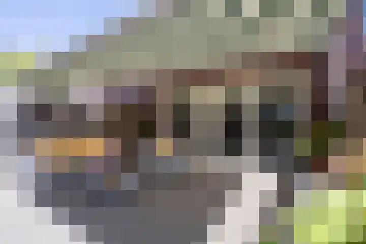 Brink van Swiebertje 4 Pijnacker thumbnail 44