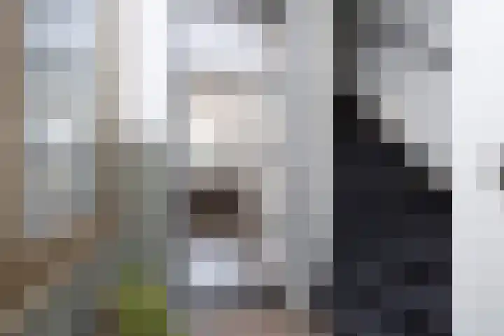 Brink van Swiebertje 4 Pijnacker thumbnail 6