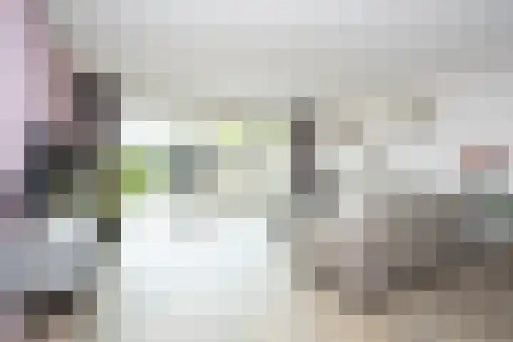 Brink van Swiebertje 4 Pijnacker thumbnail 8