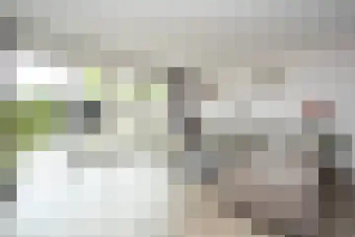 Brink van Swiebertje 4 Pijnacker thumbnail 9