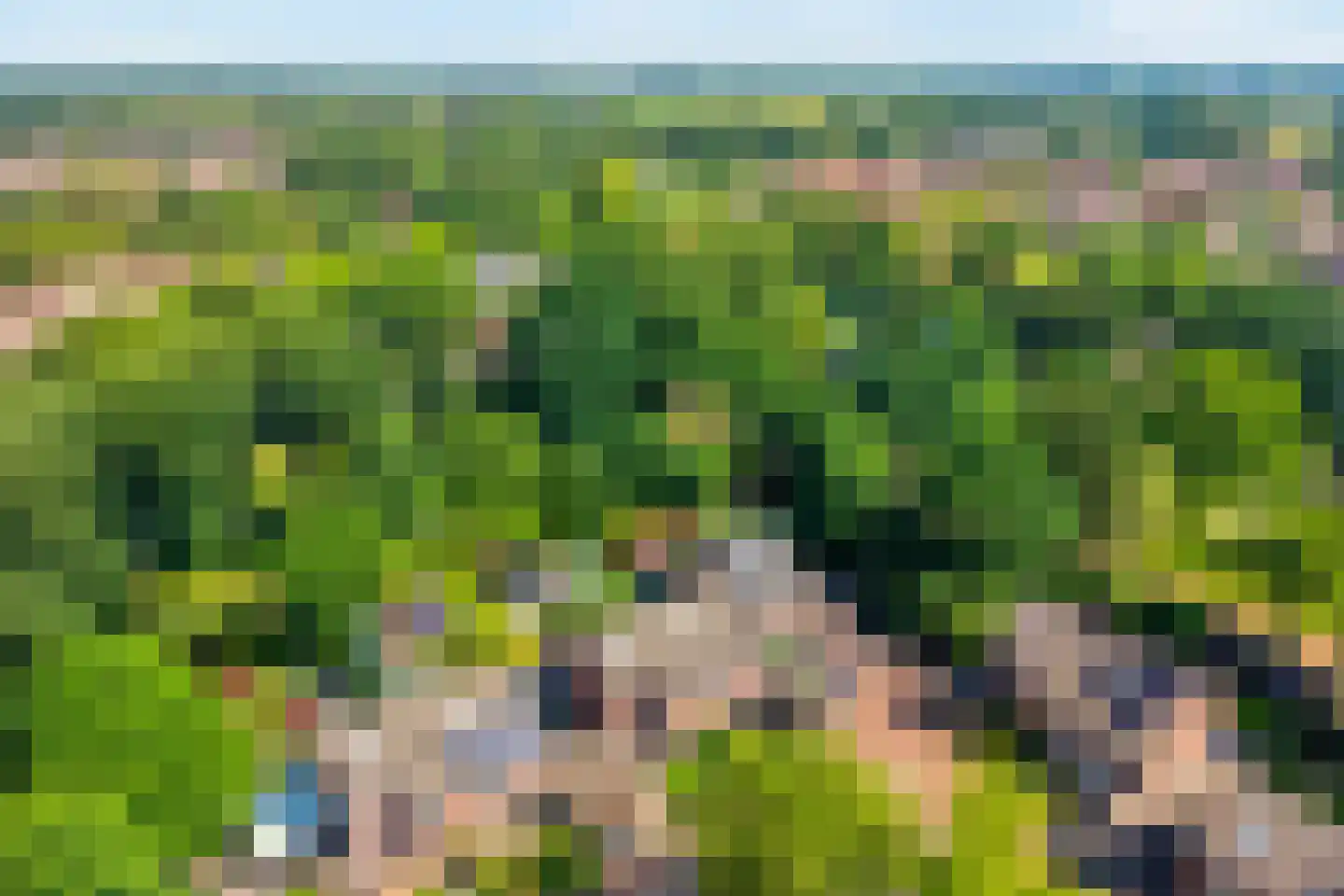 Brinkberg 3 Hardenberg thumbnail 5