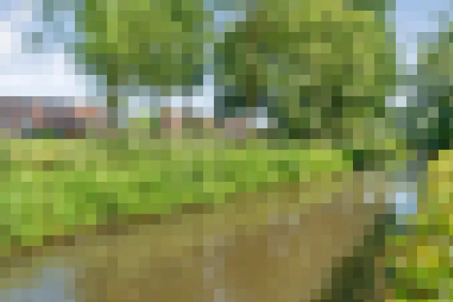 Brinkberg 3 Hardenberg thumbnail 63