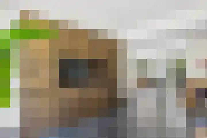 Brinkdreef 3 Clinge thumbnail 16