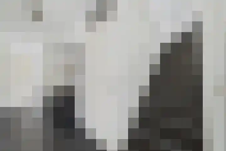 Brinkdreef 3 Clinge thumbnail 25