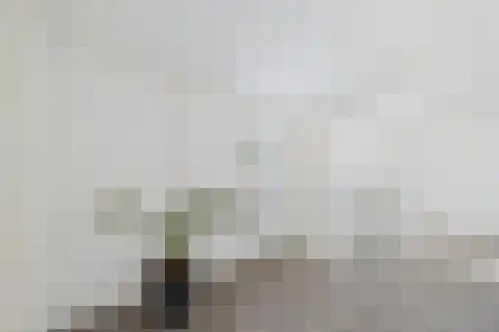 Brinkdreef 3 Clinge thumbnail 26