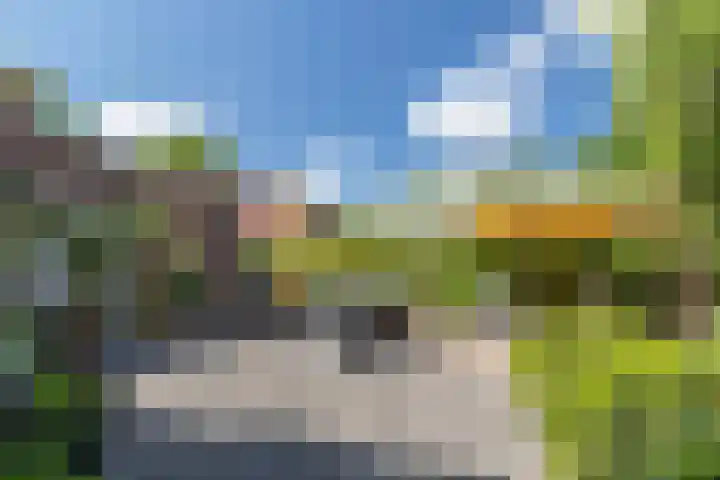 Brinkdreef 3 Clinge thumbnail 43