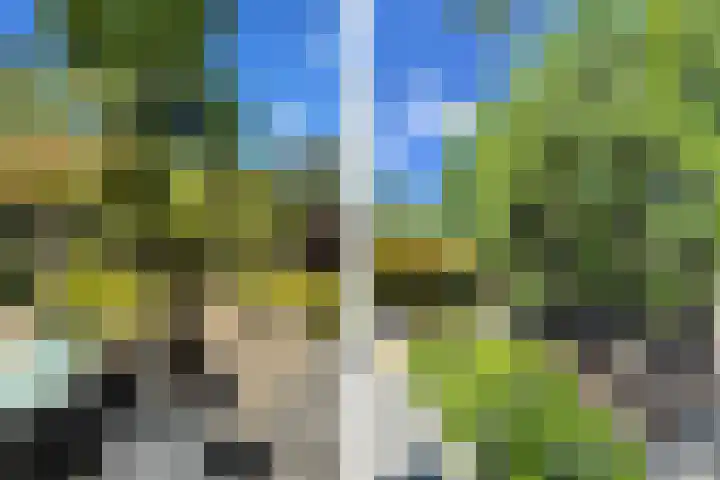 Brinkdreef 3 Clinge thumbnail 45