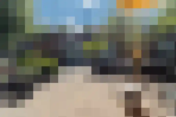 Brinkdreef 3 Clinge thumbnail 46
