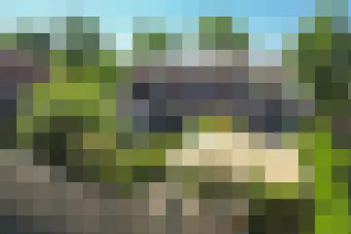 Brinkdreef 3 Clinge thumbnail 47