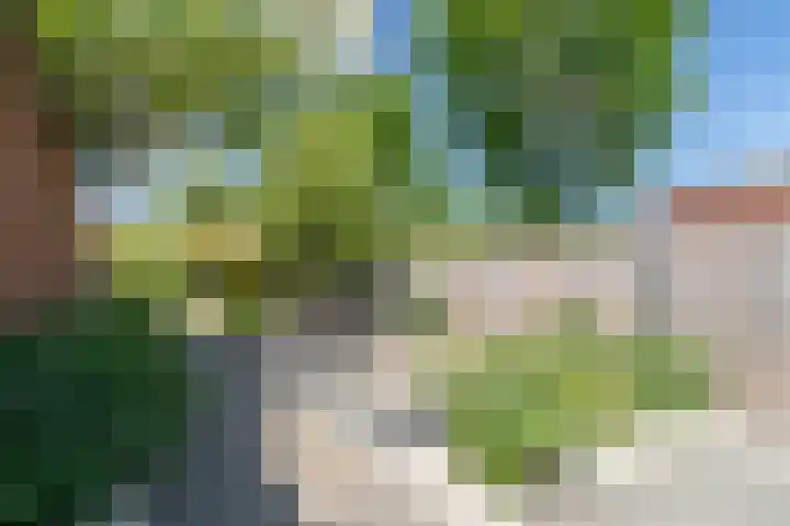 Brinkdreef 3 Clinge thumbnail 49
