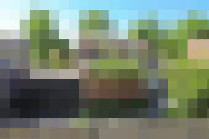 Brinkdreef 3 Clinge thumbnail 50