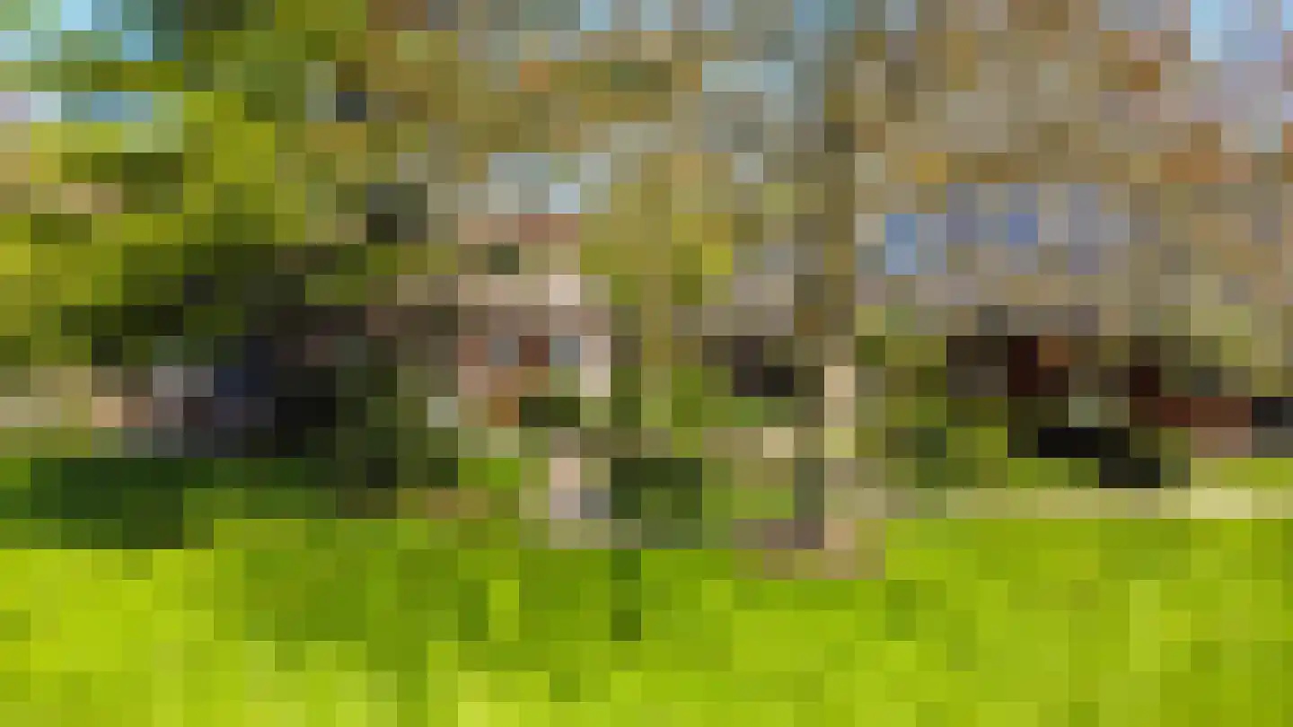 Brinken 7 Meppen thumbnail 30