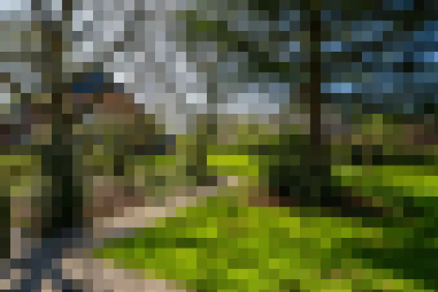 Brinken 7 Meppen thumbnail 42