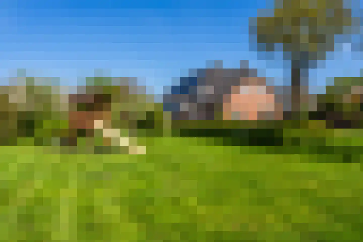 Brinken 7 Meppen thumbnail 44