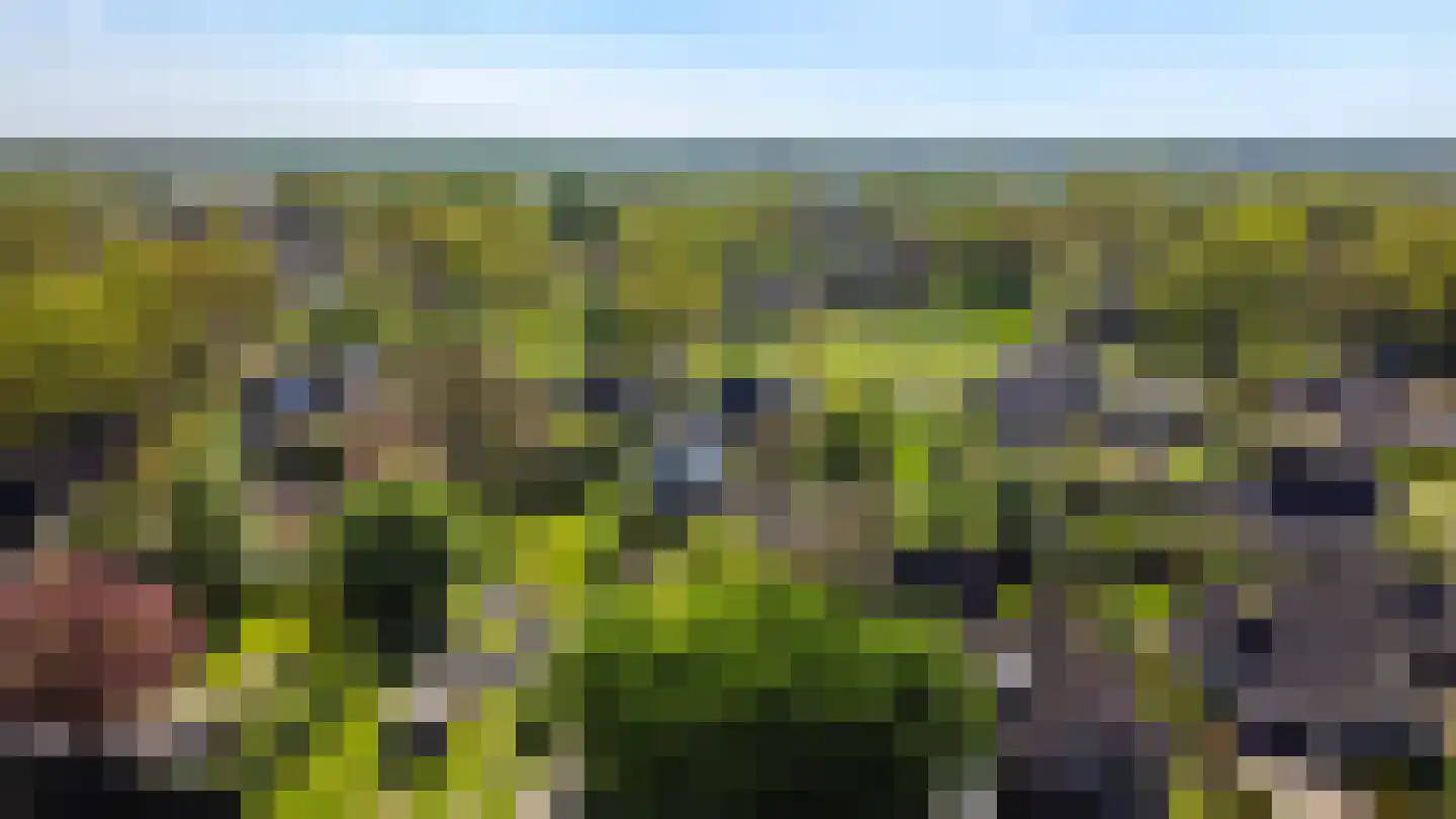 Brinken 7 Meppen thumbnail 51