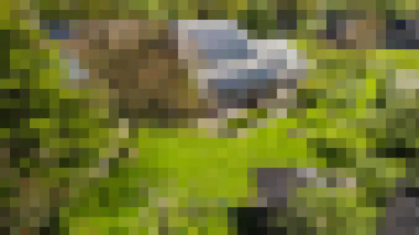 Brinken 7 Meppen thumbnail 61