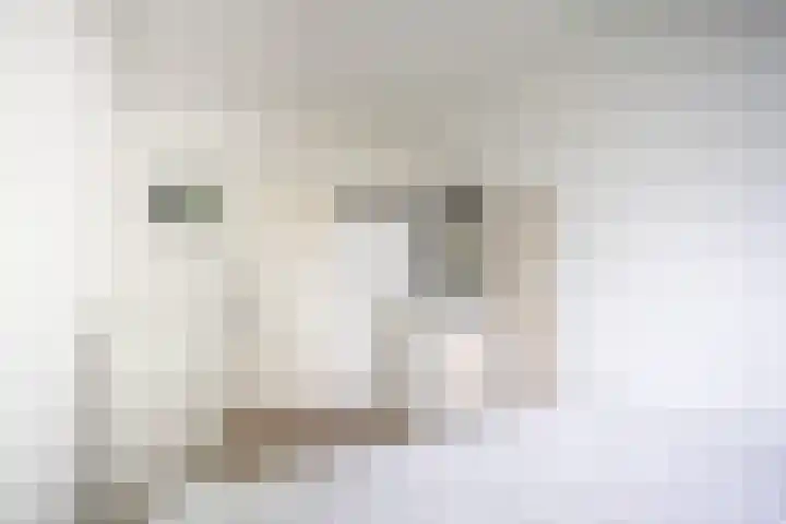 Brinkendael 15 Baarn thumbnail 11