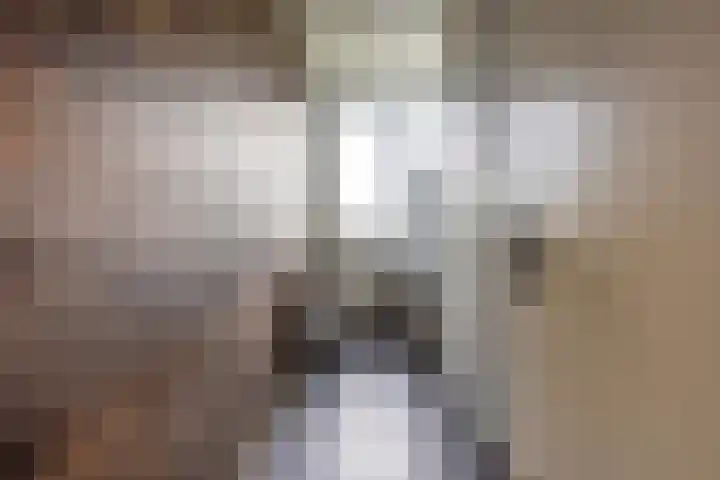 Brinkendael 15 Baarn thumbnail 15