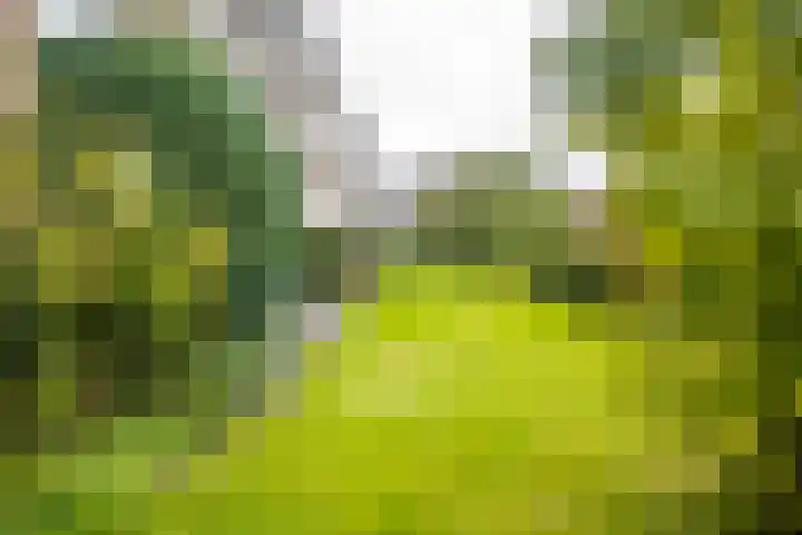 Brinkendael 15 Baarn thumbnail 19