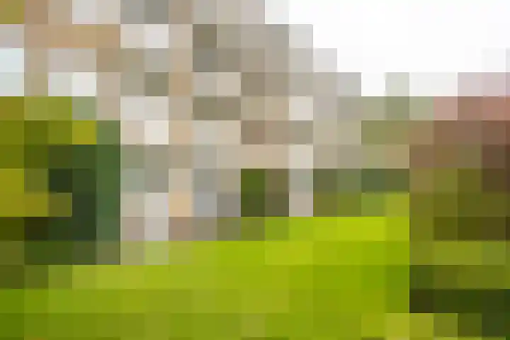 Brinkendael 15 Baarn thumbnail 20