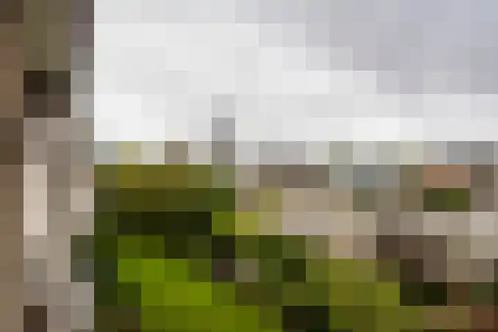 Brinkendael 15 Baarn thumbnail 8