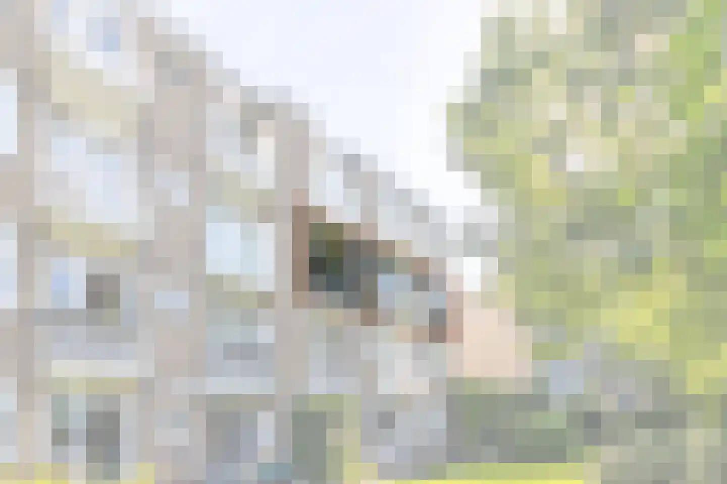 Brinkendael 3 Baarn thumbnail 22