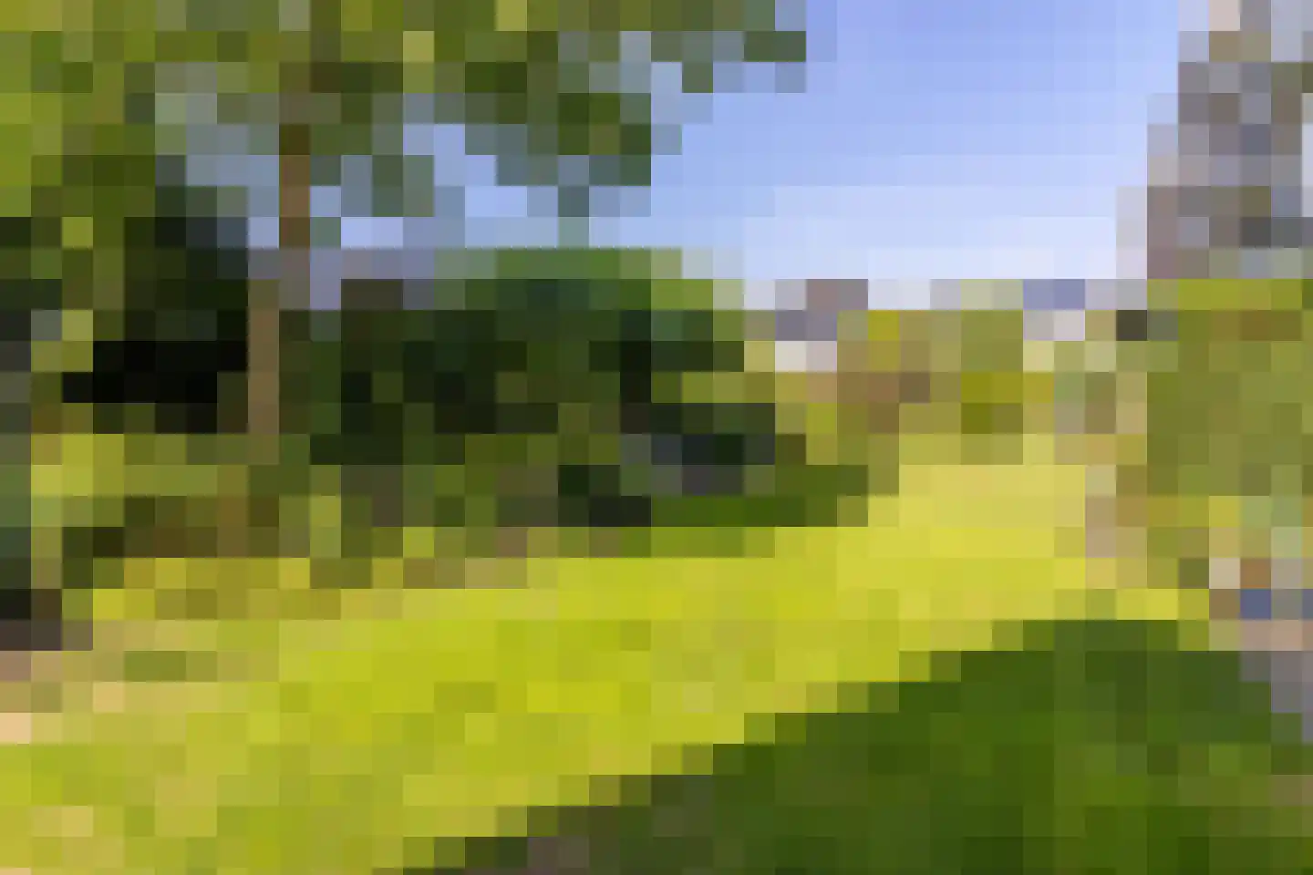 Brinkendael 3 Baarn thumbnail 24