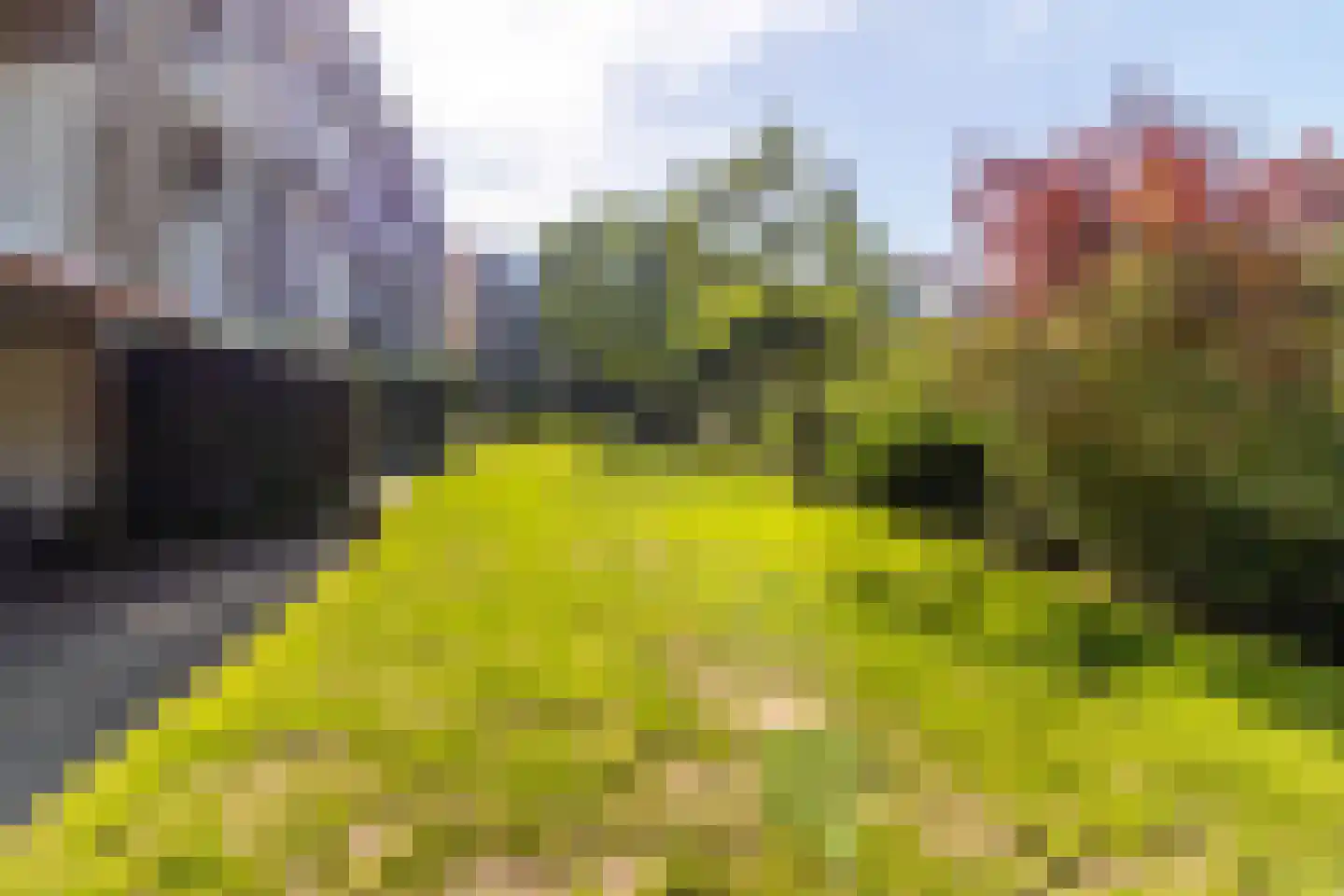 Brinkendael 3 Baarn thumbnail 25