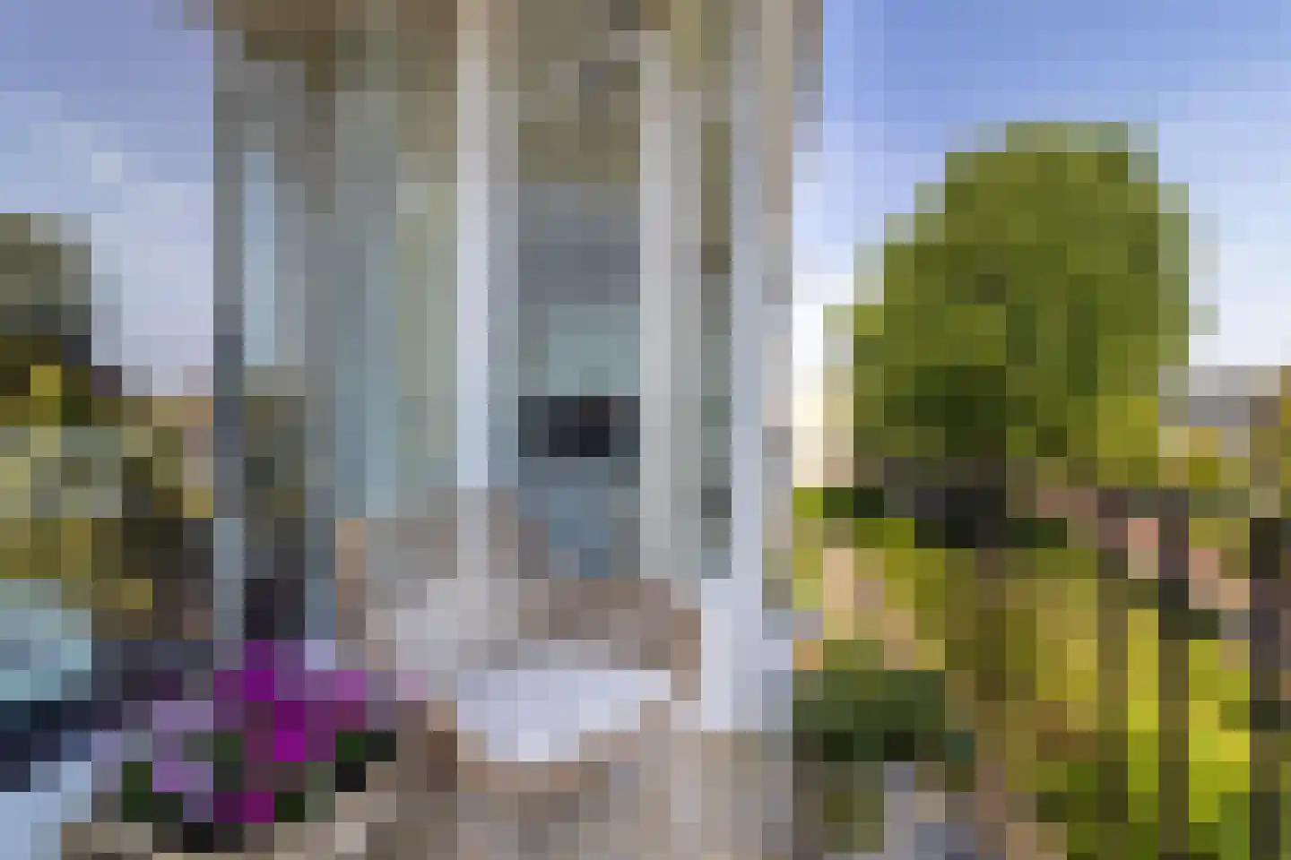 Brinkendael 3 Baarn thumbnail 6