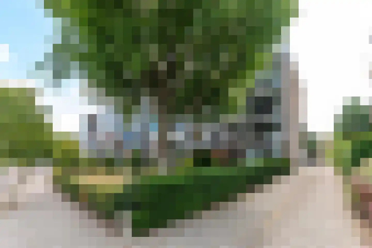 Brinkendael 9 Baarn thumbnail 22