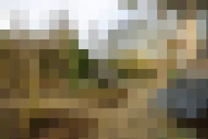 Brinkenhorst 46 Hoog-Keppel thumbnail 16