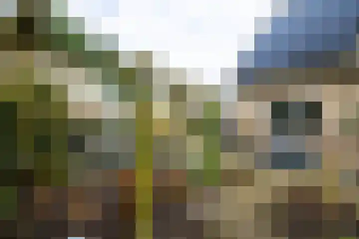 Brinkenhorst 46 Hoog-Keppel thumbnail 20