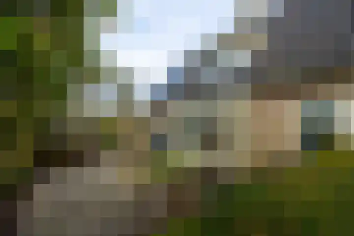 Brinkenhorst 46 Hoog-Keppel thumbnail 21