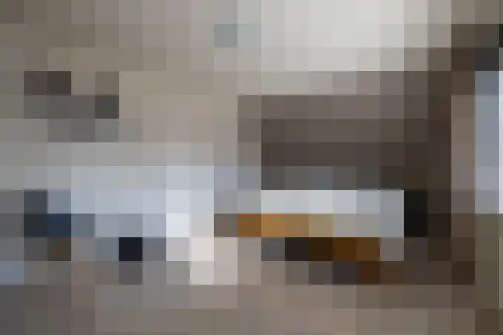Brinkenhorst 46 Hoog-Keppel thumbnail 36
