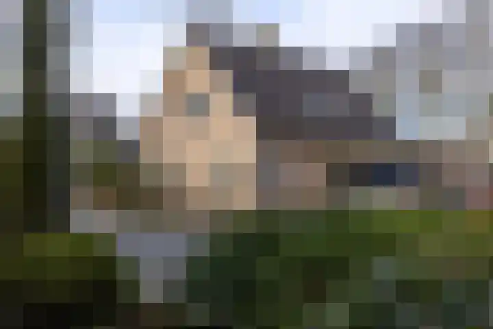Brinkenhorst 46 Hoog-Keppel thumbnail 42